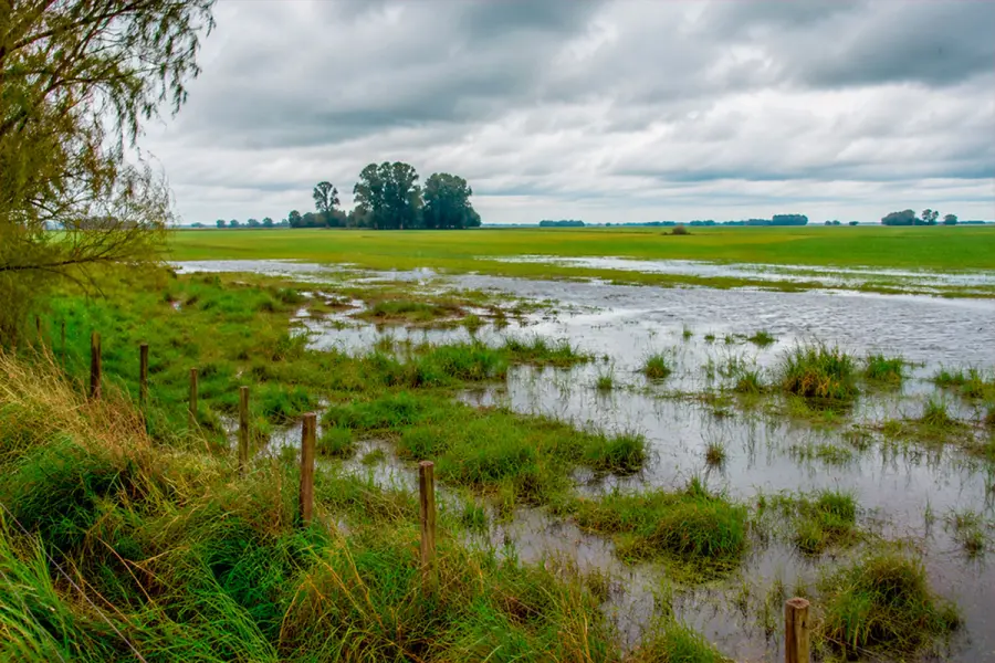 Pronostican que El Niño traerá en agosto y septiembre más lluvias