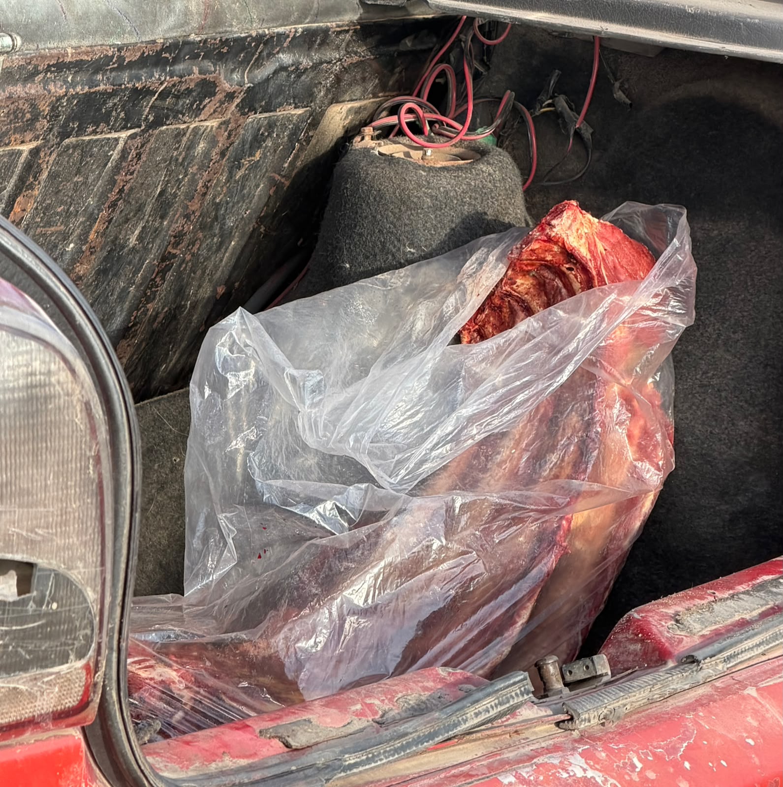 Tres detenidos por delitos rurales