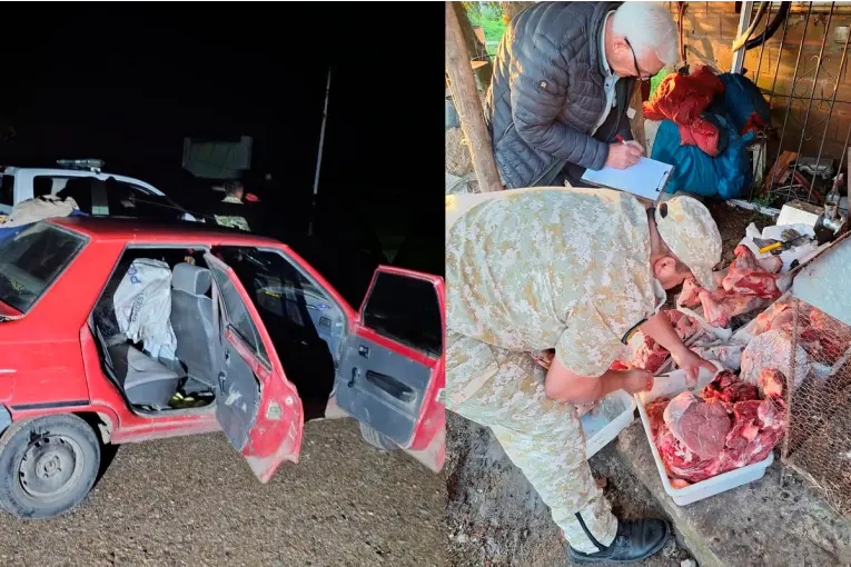 Allanamientos por abigeato: secuestraron 300 kilos de carne y un auto